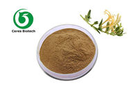 84687-43-4 Honeysuckle Flower Extract Chlorogenic Acid Brown Powder Health Protection