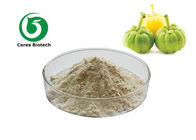 Off White Garcinia Cambogia Extract Powder Hydroxycitric Acid For Weight Loss