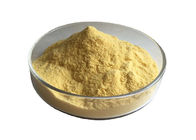 Yellow Fruit Juice Powder Sea Buckthorn Powder For Beverages Food Eco Friendly