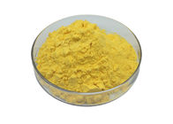 Health Care Natrual Organic Mango Powder Vitamins 80 Mesh Anti - Oxidation