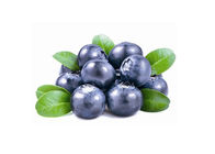 Healthy Blueberry Fruit Powder Health Care Improving Eyesight Strengthening Heart