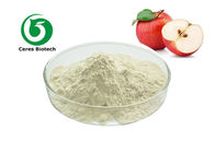 Food Grade Natural Apple Fruit Juice Powder