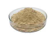 Pale Yellow Noni Juice Powder Beverages Food Polysaccharide 9-20% Anti - Bacterial