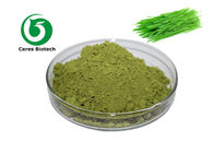 Leaf Dried Vegetable Powder Natural Wheat Grass Juice Powder Green Fine Powder