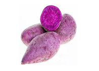Multi Function Purple Sweet Potato Powder Food Grade For Health Care Products