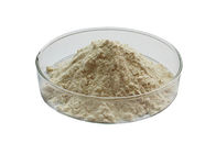 Off White Natural Onion Powder For Food Additives Herbal Extract Health Product Field