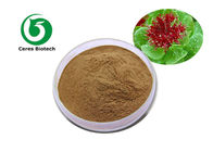 Natural Rhodiola Rosea Extract Salidroside Rosavins for health care