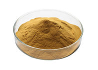 Brown Herbal Extract Powder Cordyceps Mycelia Extract Powder Polysaccharides 30%