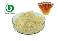 100% Natural Ginseng Root Extract Powder 0.8% / 1.2% Eleutheroside B+E