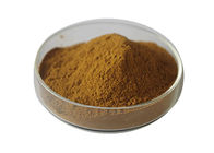 Multi Function Ginkgo Biloba Extract Powder Usp Grade for Anti-Oxidant