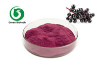 Antioxidant Anthocyanin Elderberry Extract Powder