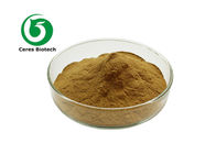Natural Herbal Extract Powder Huperzia Serrata Extract Huperzine A
