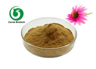 Chicoric Acid Echinacea Purpurea Herbal Extract Powder
