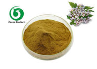HPLC 80 Mesh Natural Valerian Root Extract Powder