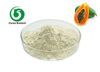 CAS 9001-73-4 Pharmaceutical Papain Papaya Extract Powder
