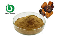Brown HPLC Antioxidant Chaga Mushroom Extract Powder