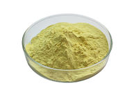 95% Rutin NF11 Sophora Japonica Extract Powder