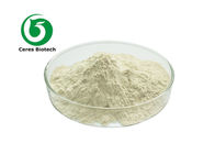 100% Natural Genistein 98% Herbal Extract Powder