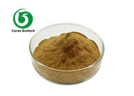 Natural Ursolic Acid Folium Eriobotryae 25% Herbal Extract Powder