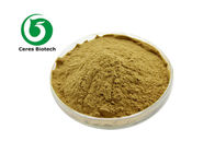 Natural 20/1 Gymnema Sylvestre Extract Powder Gymnemic Acids