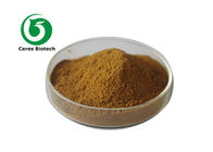 Healthcare Skincare ISO 10/1 Cactus Extract Powder