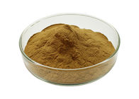 Pure Natural Herbal 5%VC Rosehip Extract Powder with Antioxidation Function