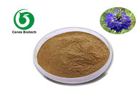 100% Natural Herbal 10/1 Nigella Sativa Extract Powder