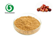Super Vitamin C Camu Camu Fruit Herbal Extract Powder