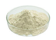 Oat Beta Glucan 70% 80% 90% Herbal Extract Powder