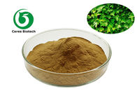 Hederagenin 5% 10% 20% Ivy Leaf Extract Powder
