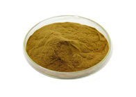 Mint Flavor Powder 80 Mesh Peppermint Extract Powder