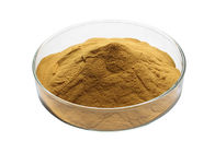 Pure Natural 10/1 2% 98% Adhatoda Vasica Extract
