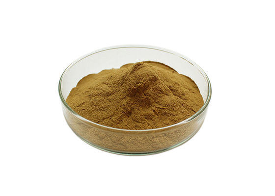 Pure Natural Damiana Herbal Extract Powder 10/1 50/1 100/1