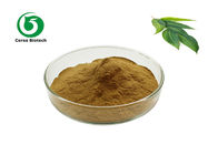 100% Natural Gum Trees Eucalyptus Leaves Herbal Extract Powder