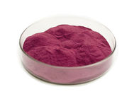 Anthocyandins 5% Bilberry Herbal Extract Powder For Body