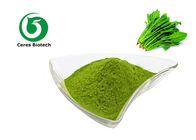 Vegetable Supplement Dehydrated Organic Spinach Powder
