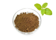 Lemon Balm Herbal Extract Powder 10/1 20/1 Melissa Officinalis Extract