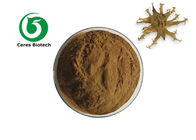 1%-5% Harpagophytum Procumbens Extract Devil's Claw Extract Powder Harpagoside