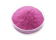 100% Natural Dried Vegetable Powder 10/1 Red Purple Cabbage Powder