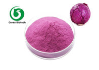 100% Natural Dried Vegetable Powder 10/1 Red Purple Cabbage Powder