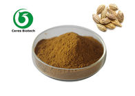 Food Grade Herbal Extract Powder 10/1 20/1 Terminalia Chebula Extract Powder