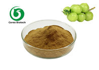 Polyphenols 20% Phyllanthus Emblica Extract Powder Dietary supplements