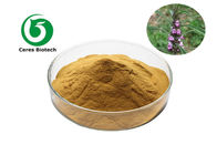 20%~98% Herbal Extract Powder Leonurus Cardiaca Extract Motherwort Extract Powder