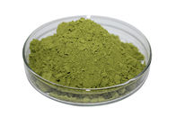 Natural Vegetables 5% Alfalfa Herbal Extract Powder Food Supplyment