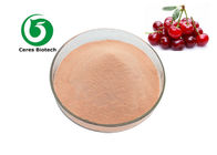Natural 10/1 80 Mesh Cherry Fruit Juice Powder Food Grade