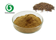 Anthraquinone 5% Natural Herbal Extract Powder Cassia Seed Extract Powder