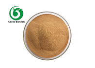 Anti Fatigue Pure Natural Radix Notoginseng Extract Powder 80 Mesh