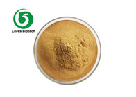 Pure Natural Herbal Extract Powder Agaricus Bisporus Extract 10%~ 50%