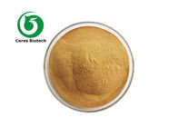 40% 90% Herbal Extract Powder Semen Cassia Seed Extract Powder