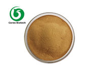 Natural Weight Loss Nuciferin 98% Lotus Leaf Extract Powder